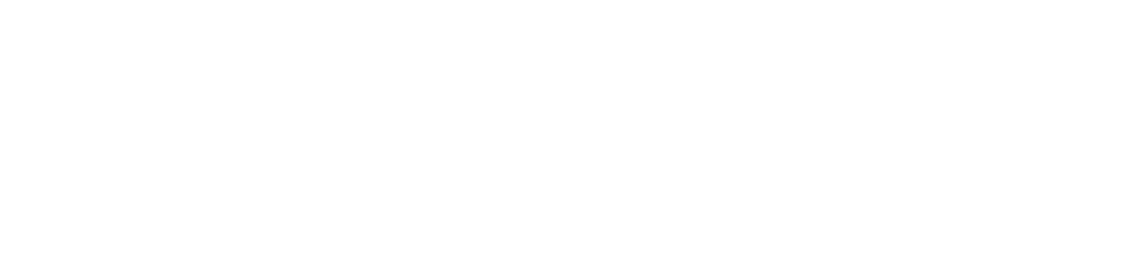 vs-logo-img